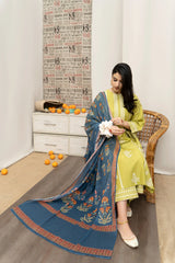 Winter Luxury collection | dhanak | 3-PC |