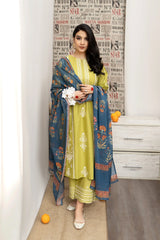 Winter Luxury collection | dhanak | 3-PC |
