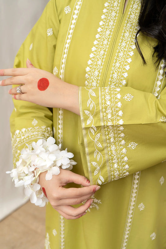 Winter Luxury collection | dhanak | 3-PC |