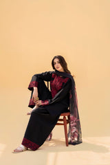 Winter Luxury collection | dhanak | 3-PC |