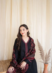 Winter Luxury collection | dhanak | 3-PC |
