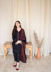 Winter Luxury collection | dhanak | 3-PC |