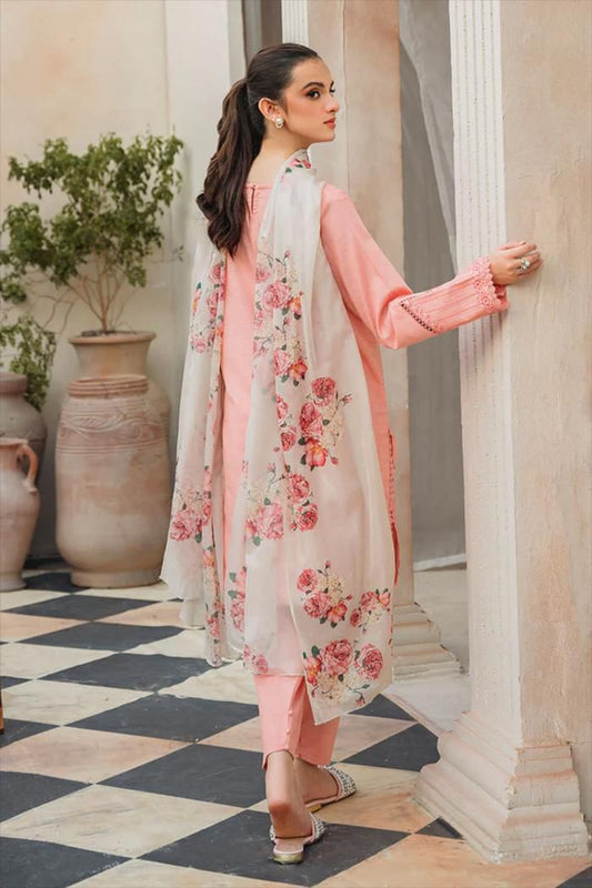 Winter Luxury collection | dhanak | 3-PC |