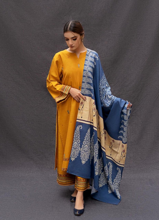 Winter Luxury collection | dhanak | 3-PC |